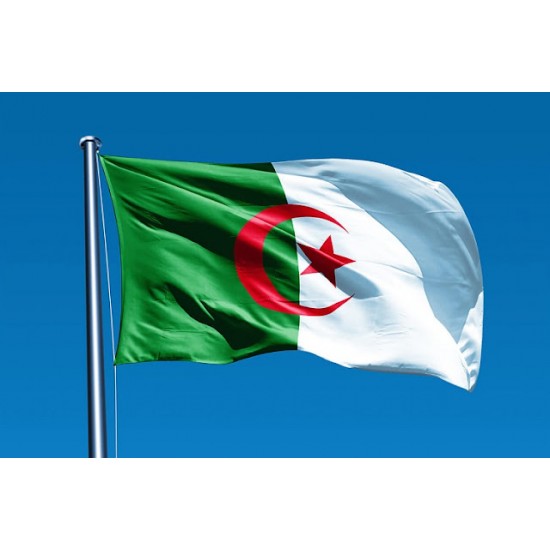 Steag Algeria 