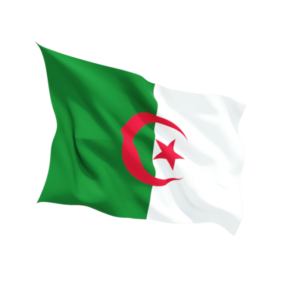 Steag Algeria 