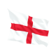 Steag Anglia