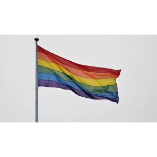 Steag LGBT
