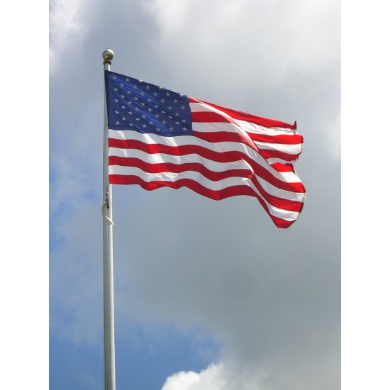 Steag Statelor Unite ale Americii