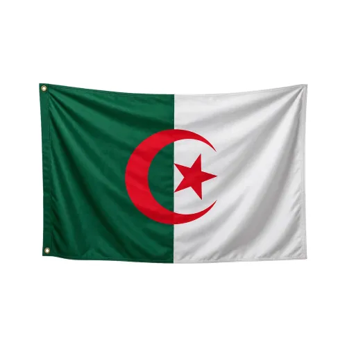 Steag Algeria 
