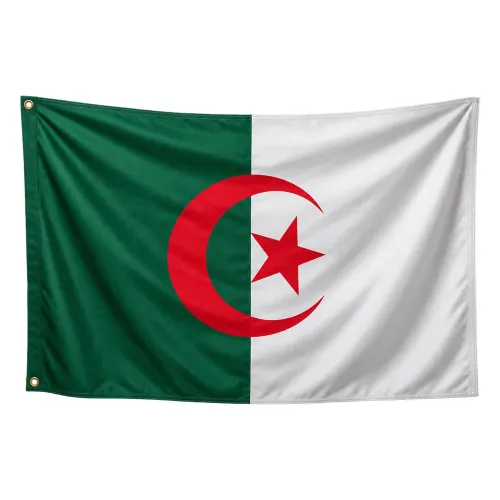 Steag Algeria 