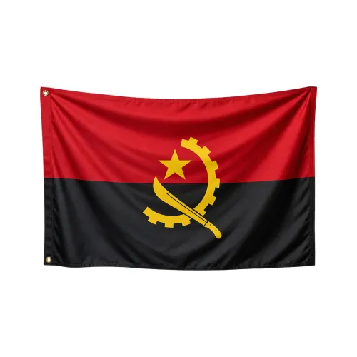 Steag Angola 
