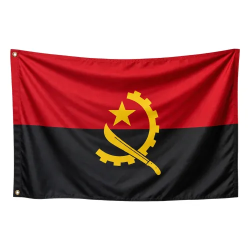Steag Angola 