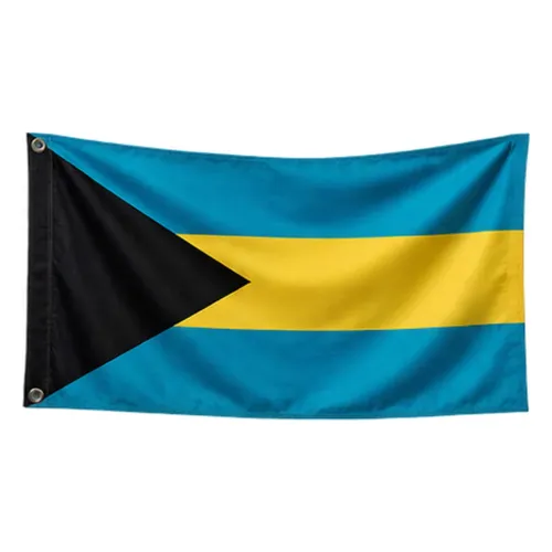 Steag Bahamas