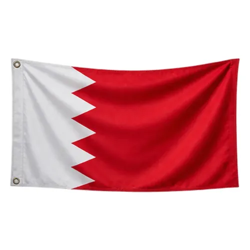 Steag Bahrain