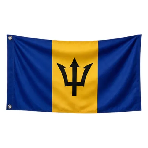Steag Barbados
