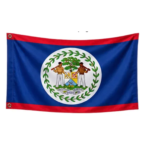 Steag Belize