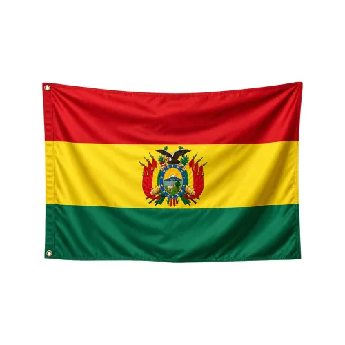 Steag Bolivia