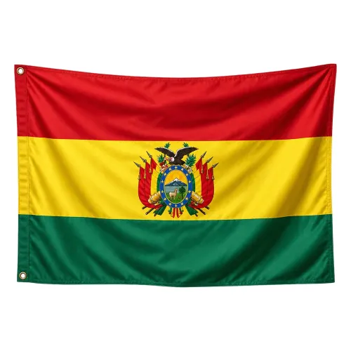 Steag Bolivia