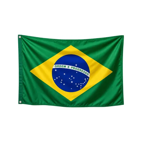 Steag Brazilia