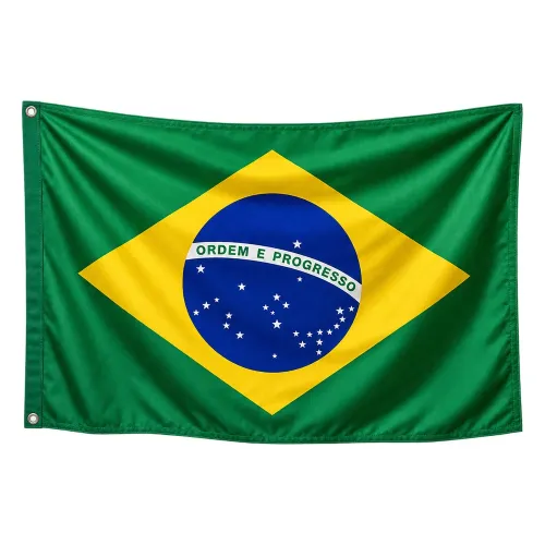 Steag Brazilia