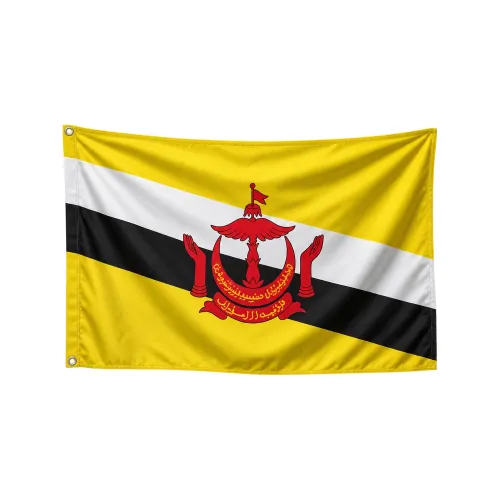 Steag Brunei