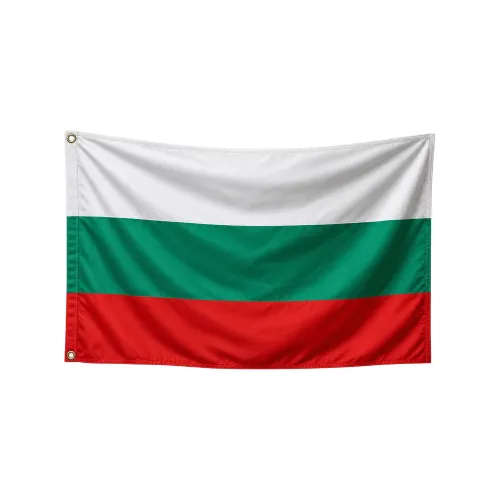 Steag Bulgaria