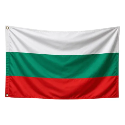 Steag Bulgaria