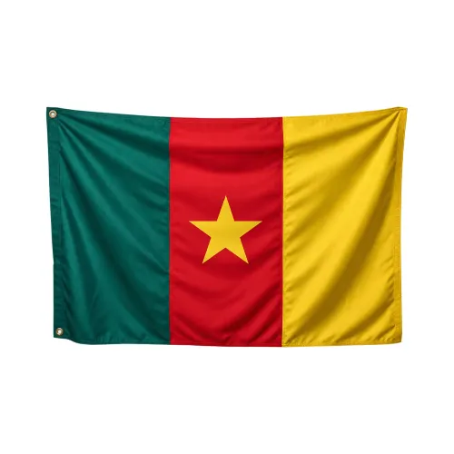 Steag Camerun