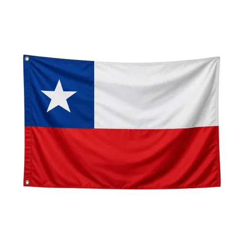 Steag Chile
