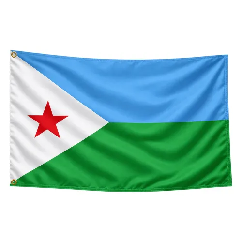 Steag Djibouti