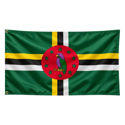 Steag Dominica
