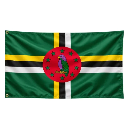 Steag Dominica