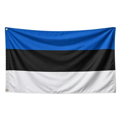 Steag Estonia