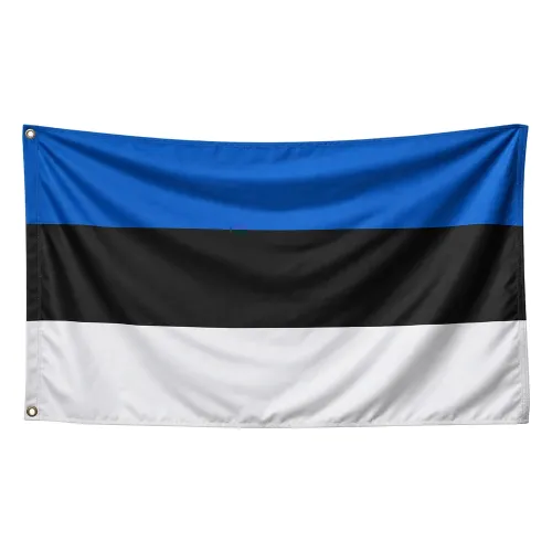 Steag Estonia