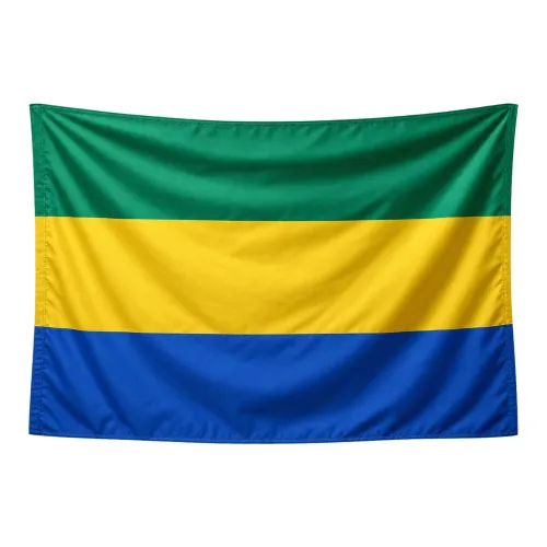 Steag Gabon