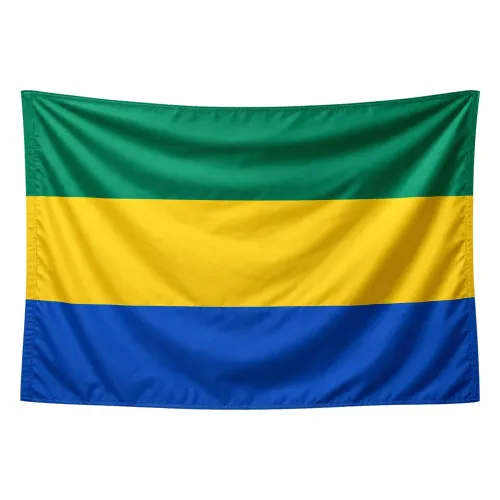 Steag Gabon