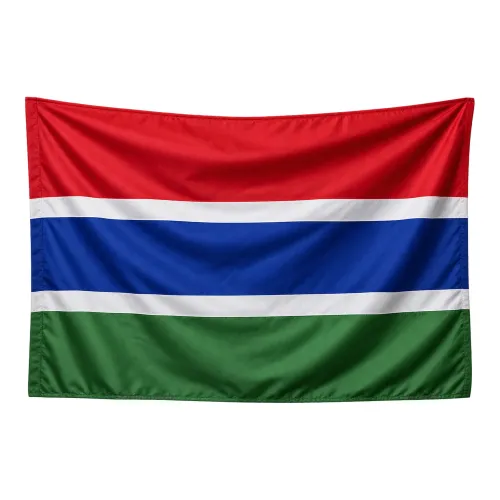 Steag Gambia