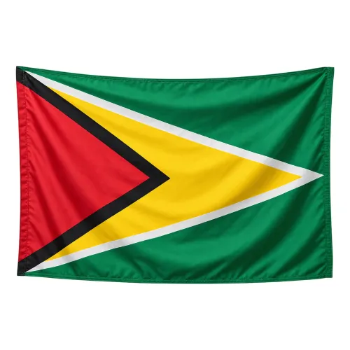 Steag Guyana