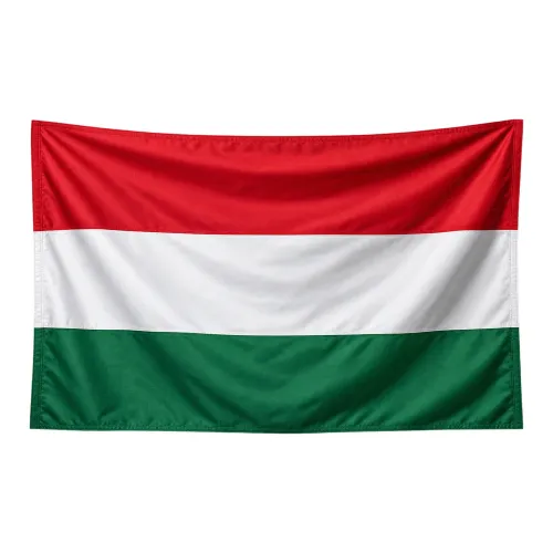 Steag Ungaria