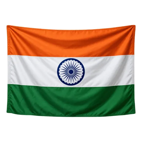 Steag India