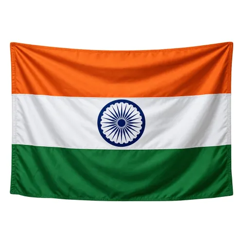 Steag India