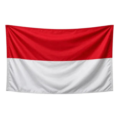Steag Indonezia