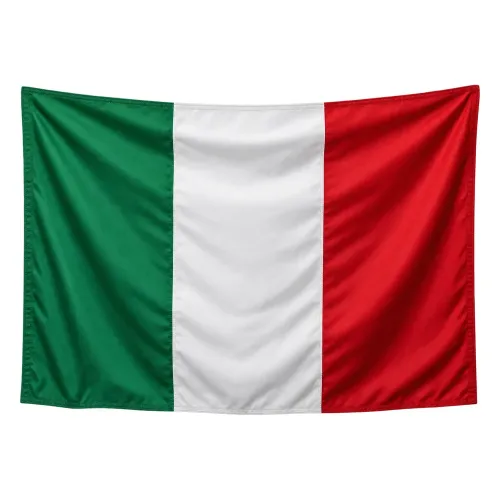 Steag Italia