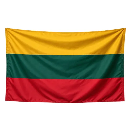 Steag Lituania