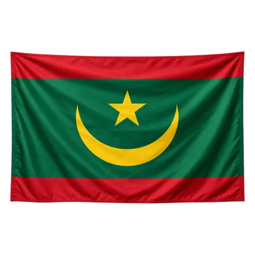 Steag Mauritania
