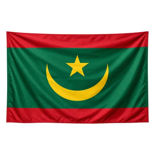 Steag Mauritania