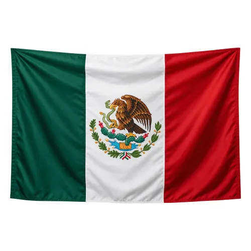 Steag Mexic