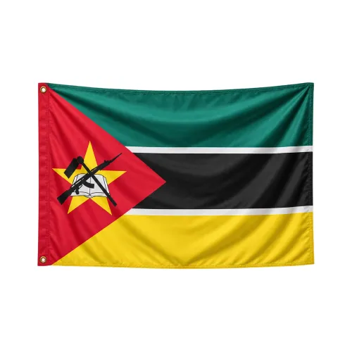 Steag Mozambic