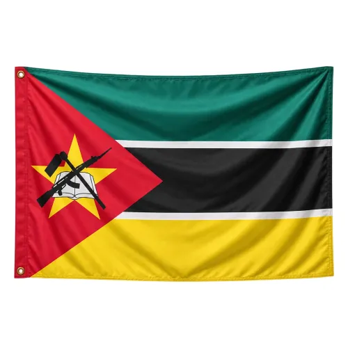 Steag Mozambic