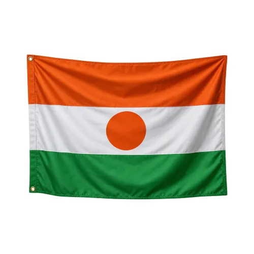 Steag Niger