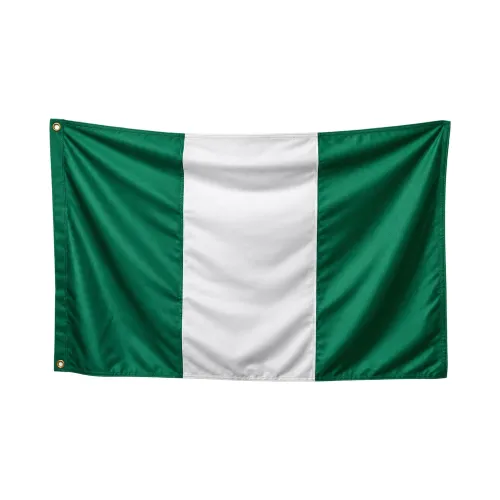Steag Nigeria