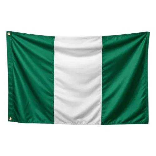 Steag Nigeria