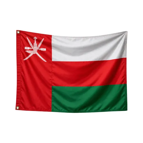 Steag Oman 