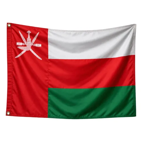 Steag Oman 