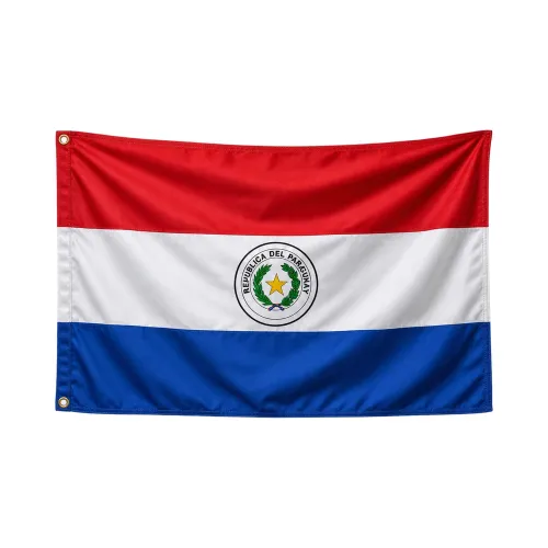 Steag Paraguay