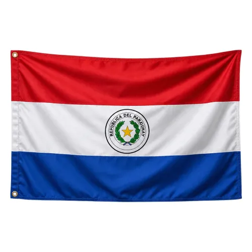 Steag Paraguay