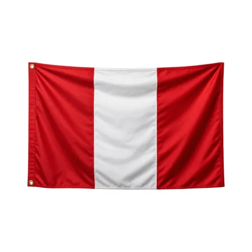 Steag Peru